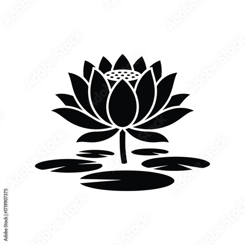 Elegant black silhouette of a blooming lotus flower on water with lily pads