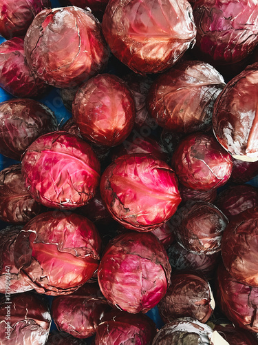 Fresh red cabbages stacked in bulk at food market