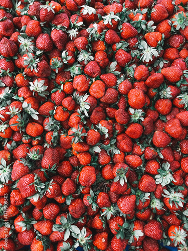 Fresh ripe strawberries in bulk at food market