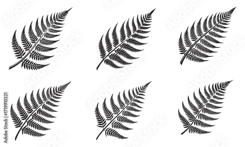 Six Silhouette Fern Leaves Arranged in Rows
