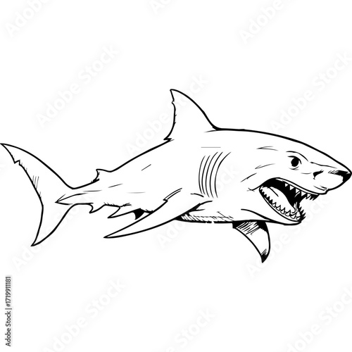 A powerful and fierce illustration of a great white shark, captured in a menacing pose with its mouth open, showcasing its sharp teeth. The sketch conveys a sense of wild predatory nature.