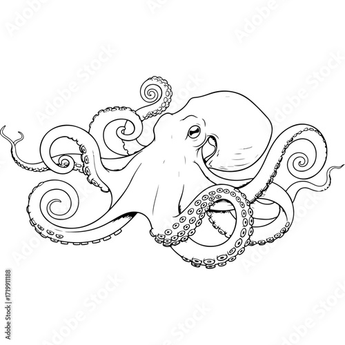 A highly detailed and intricate illustration of an octopus, showing its complex tentacles and captivating form. This monochrome drawing is perfect for themes of marine life, intelligence, or deep sea 