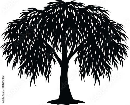 Willow tree silhouette vector