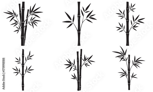 Six Bamboo Stalks with Delicate Leaves Silhouette