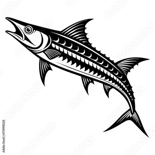 vector illustration of a wahoo fish 