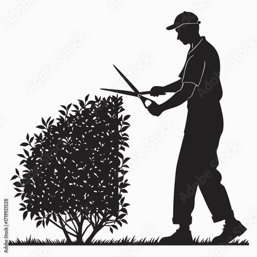 Gardener trimming hedge silhouette