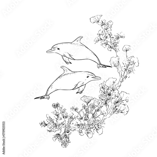 Dolphin illustration with flowers sea ocean life marine mammal drawing sketch artwork aquatic animal black and white