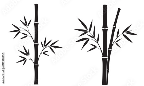 Two Bamboo Silhouette Stalks with Graceful Leaves