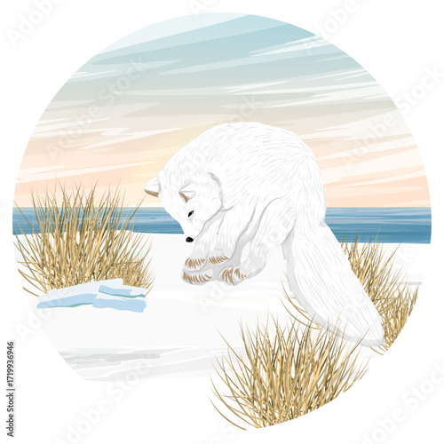 Round composition. Arctic fox hunting a mouse under the snow. Arctic fox jump. Mouse hunting. Realistic vector landscape