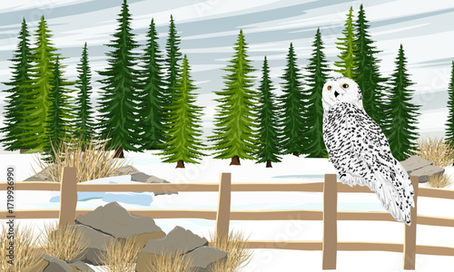 A snowy owl sits on a low wooden fence near a spruce forest. Wild birds of the Arctic. Realistic vector landscape.