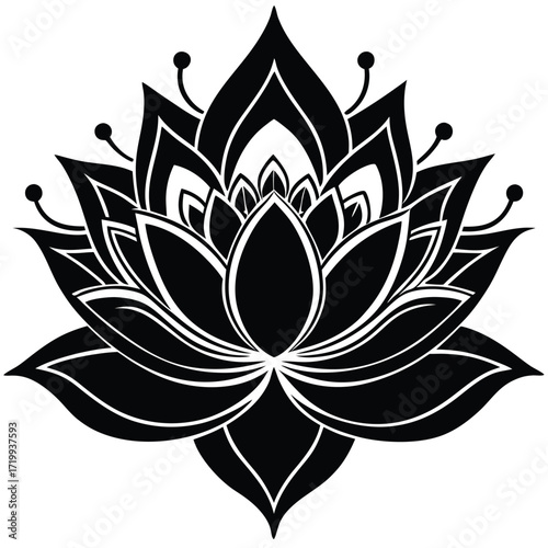 Intricate black lotus flower silhouette symbolizing purity growth enlightenment spiritual beauty silhouette