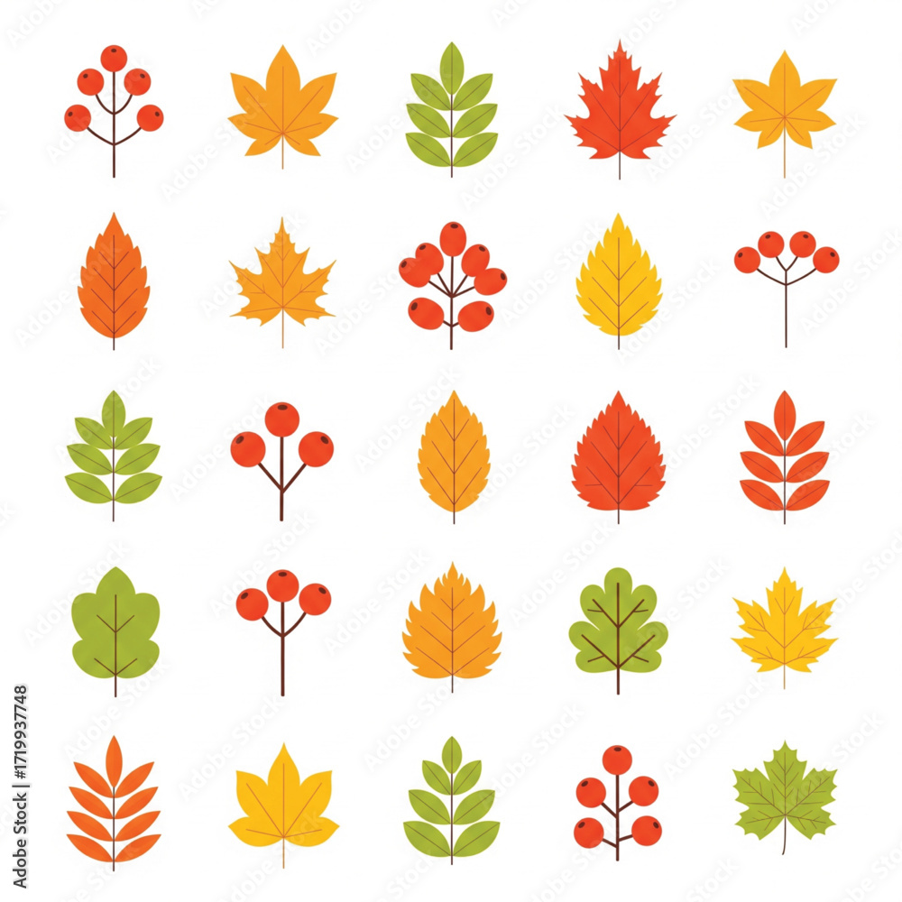 Obraz premium set of autumn leaves