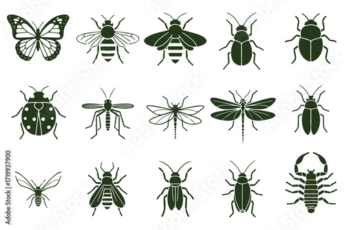 insect illustrations, anatomical drawings, scientific entomology illustrations, vintage engraved insects, black and white insect diagrams, technical insect sketches, monochrome insect collection