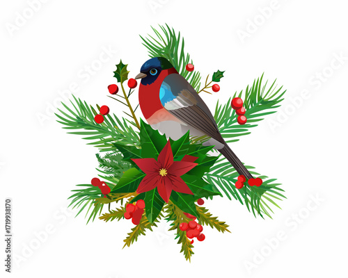 Festive bullfinch bird with christmas foliage and poinsettia