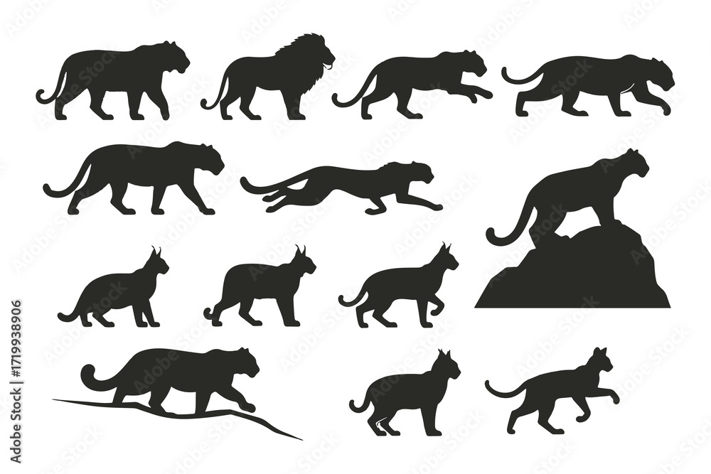 Fototapeta premium A black vector silhouette set of wild animals, including a running panther, leopard, cheetah, tiger, big cat, wild animal, predator, silhouette, black and white, minimalist, vector graphics