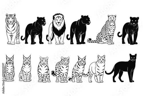 A vector illustration of black animal silhouettes, a collection of stylized black and white illustrations of various cats and big cats, including tigers, lions, leopards, and cats, displayed 
