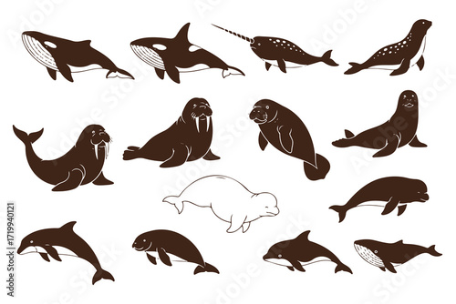 series of hand-drawn black silhouettes of various whales, orcas, dolphins, and other marine mammals, high-quality, detailed, photorealistic, vector graphics