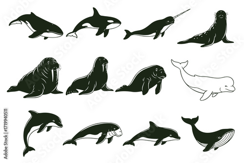 various black animal silhouettes, including flying birds, fish, and wildlife, perfect for vector illustration and icons, Collection of various black animal silhouettes, including flying birds, fish