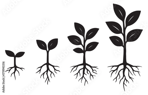 Plant Growth Stages with Roots Silhouette Illustration