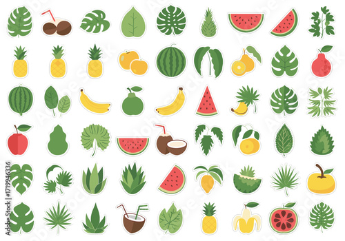 A vibrant collection of tropical fruits and palm leaves offers a refreshing summer theme.