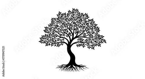 Silhouette of a tree with dense foliage and visible roots against a white background.