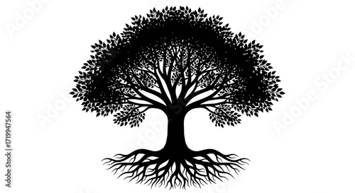 Silhouette of a large, detailed tree with extensive roots and full canopy.