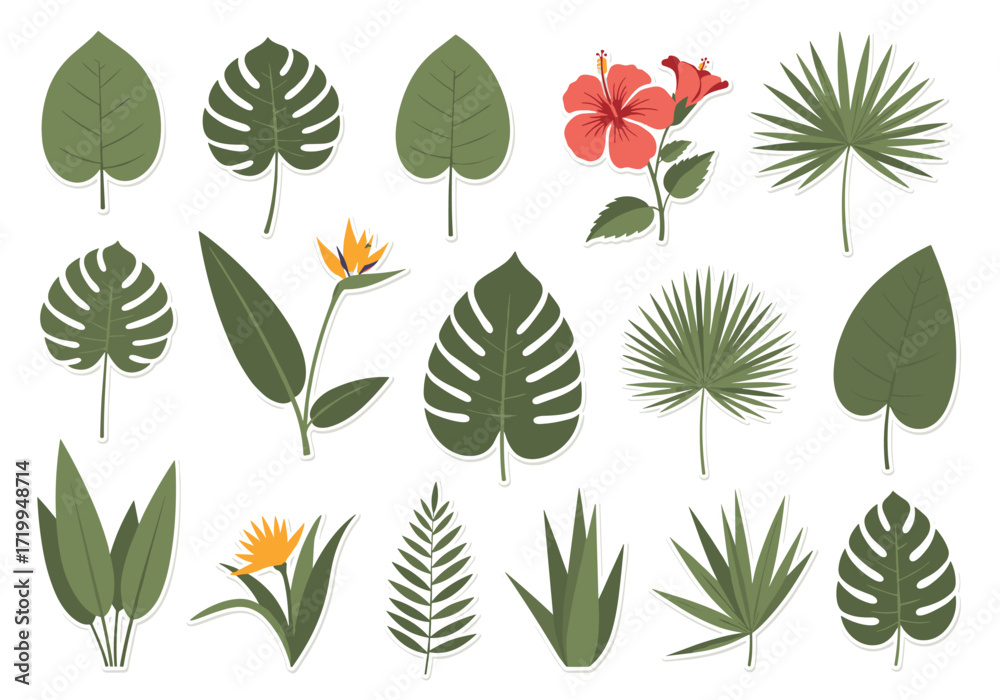 Fototapeta premium Collection of various tropical leaves and exotic flowers for botanical illustration and design.