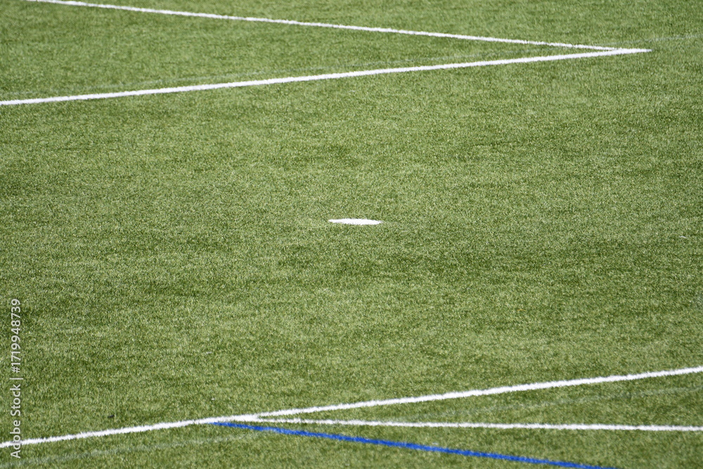 Fototapeta premium Linhas na relva num estadio de futebol 