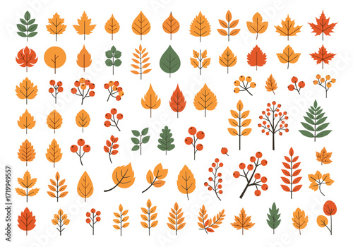 A vibrant collection of deciduous leaves and berries in assorted colors and shapes representing autumn.