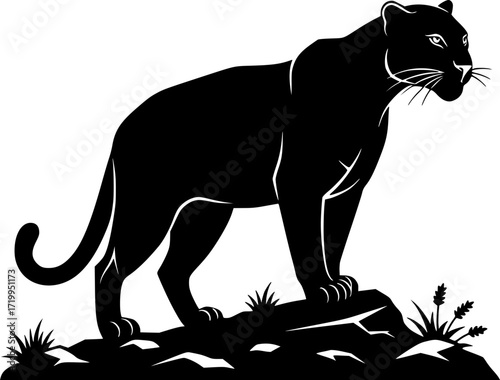 Black panther silhouette standing on rocky terrain with grass wild cat predator in nature design