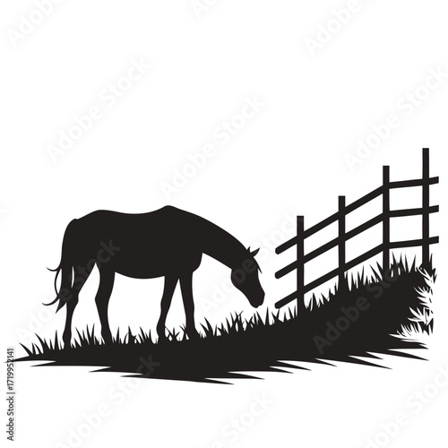 Horse grazing near fence silhouette