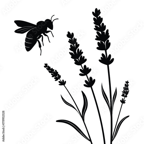 Bee hovering above lavender silhouette