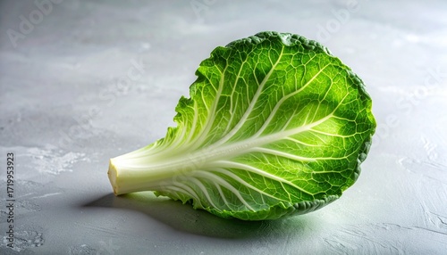 Single savoy cabbage leaf on white—crinkled texture, branching veins, and vibrant green evoke organic symmetry, vitality, and natural elegance in minimalist botanical still life composition.