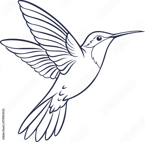 Dark blue outline of a hummingbird in flight with wings spread