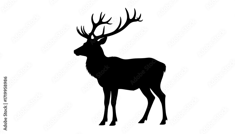 Fototapeta premium Silhouette of a deer