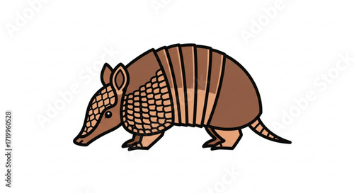 Illustration of an armadillo the armadillo is a mammal with a leathery armor shell and a long tail