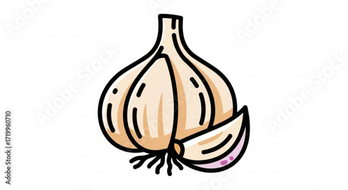 Illustration of a garlic bulb and clove the garlic is fresh and aromatic, with its white color and purple accents