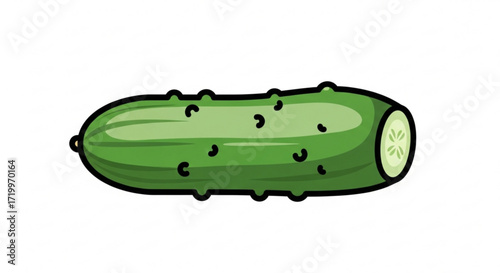 Cartoon cucumber vector illustration of a fresh green vegetable with black outline healthy food ingredient for salad