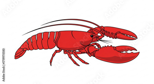 Illustration of a vibrant red lobster, showcasing its prominent claws, antennae, and segmented body the crustacean is a culinary delicacy