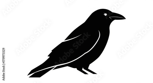 A black raven, a symbol of mystery and intelligence, with sleek feathers and piercing eyes, a powerful and enigmatic bird