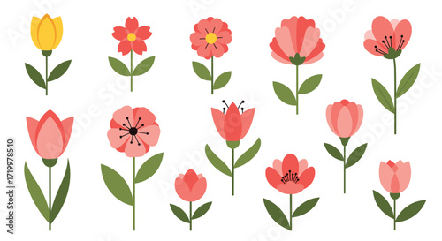 A collection of charming and colorful floral illustrations perfect for various creative projects.