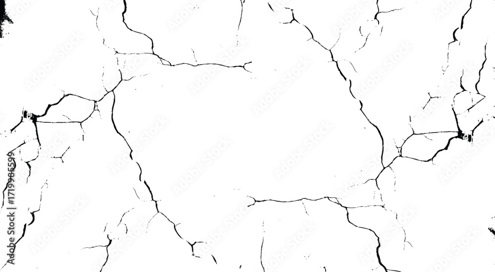 Obraz premium Texture soil dry crack background pattern. Black grunge effect on white background. 