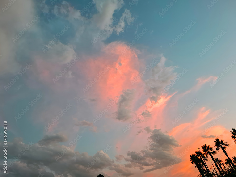 Fototapeta premium Vibrant sunset sky with clouds and palm trees against a serene evening backdrop in a tropical paradise moment