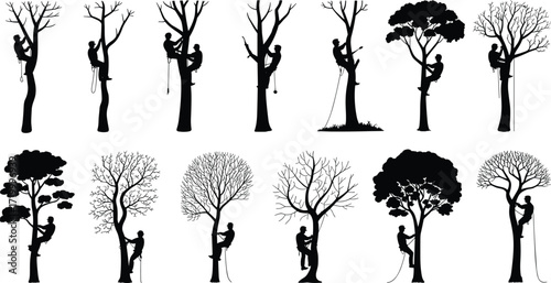 Arborist climbing tree silhouettes set, tree trimming and pruning, professional tree care, forestry worker, rope system, outdoor job, vector illustration, isolated on white background
