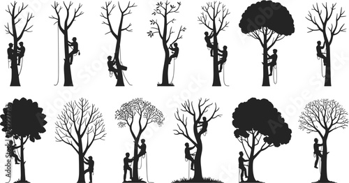 Arborist climbing tree silhouettes set, tree trimming and pruning, professional tree care, forestry worker, rope system, outdoor job, vector illustration, isolated on white background