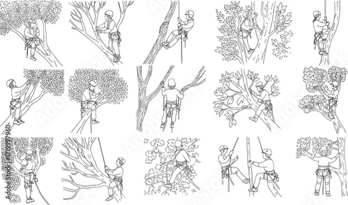 Arborist tree climbing line art set, tree care worker illustrations, forestry service, pruning and trimming, safety gear, outdoor job, vector outline, isolated on white background