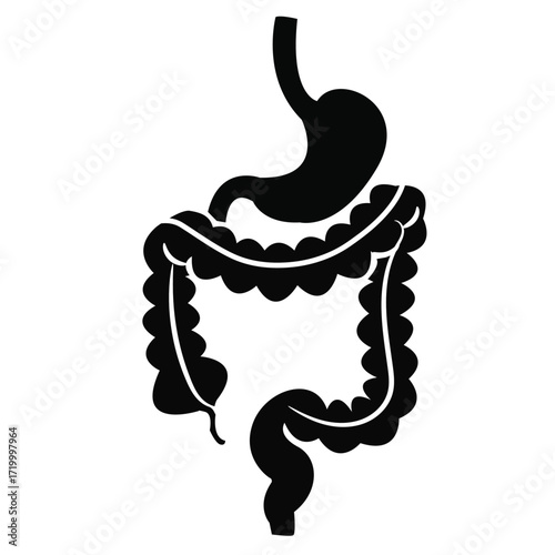 A black silhouette of the human digestive system