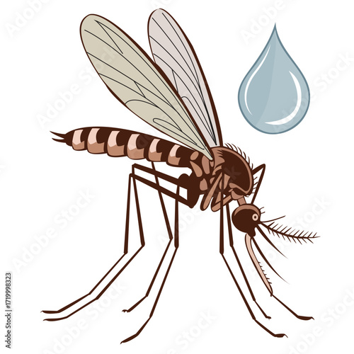  An illustration of a mosquito with a blood drop