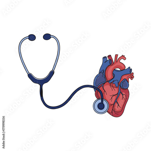 Medical stethoscope connected to human heart illustration  