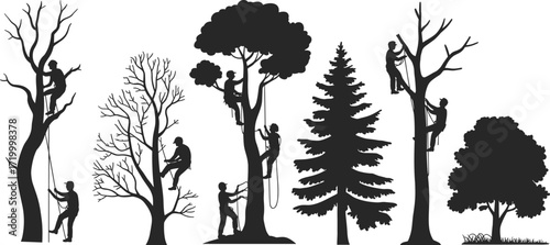 Tree care workers silhouette, arborist team trimming trees, urban forestry service, tree maintenance crew, climbing and pruning, landscape work, vector illustration, isolated on white background